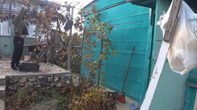 6 ноября. Едем на дачу смотреть онлайн