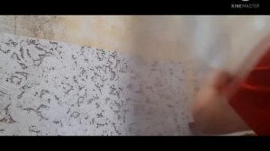 Как клеить пробку на стену . ремонт . пробковые  панели для стен  в место обоев