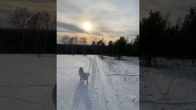Дача Алтайский край смотреть онлайн