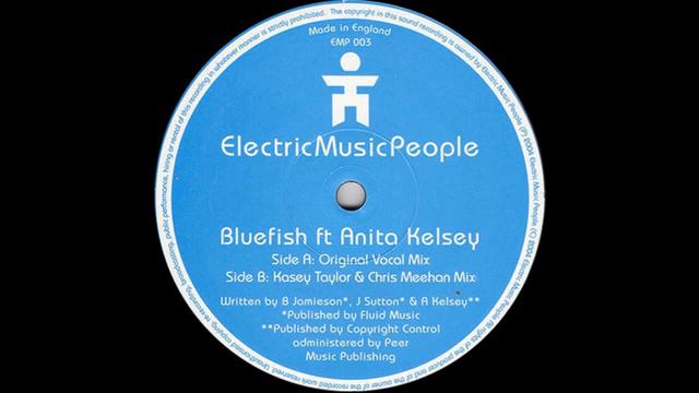 Bluefish ft Anita Kelsey – Been Too Long (Kasey Taylor & Chris Meehan Mix) смотреть онлайн
