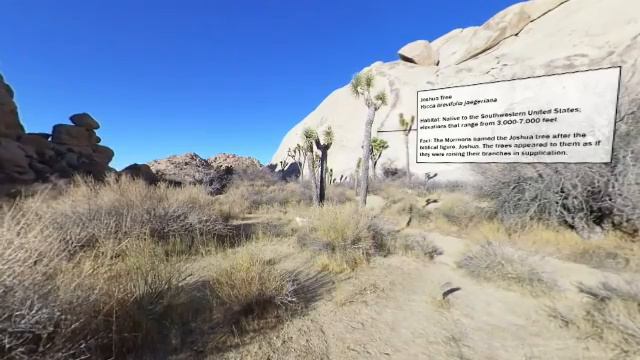 Lai, Jonathan - Joshua Tree смотреть онлайн