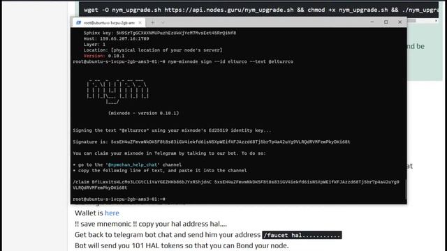 Установка Nym node , Nym node guide смотреть онлайн