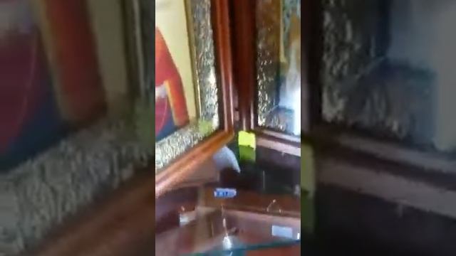 Святые места. Спасо- Преображенский Собор в Санкт Петербурге. #историяроссии #святыни #собор смотреть онлайн