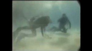 Steve Irwin Death Video __Official Footage___(360p).flv