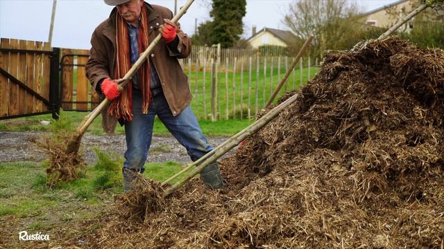 L'acer Negundo : Utilisation Et Plantation
