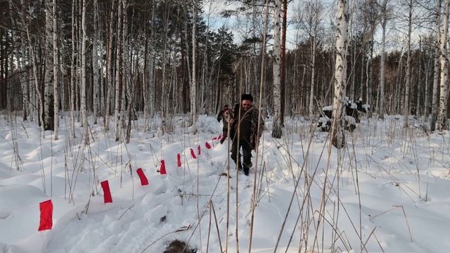 Опасное поведение волчицы. Подозрение на бешенство. смотреть онлайн