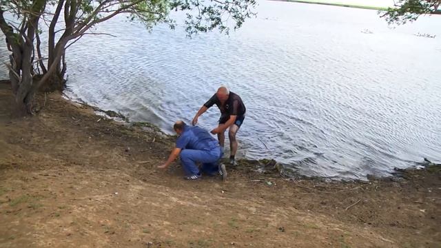 катание сватов по деревне, второй день свадьбы Село Раевка смотреть онлайн