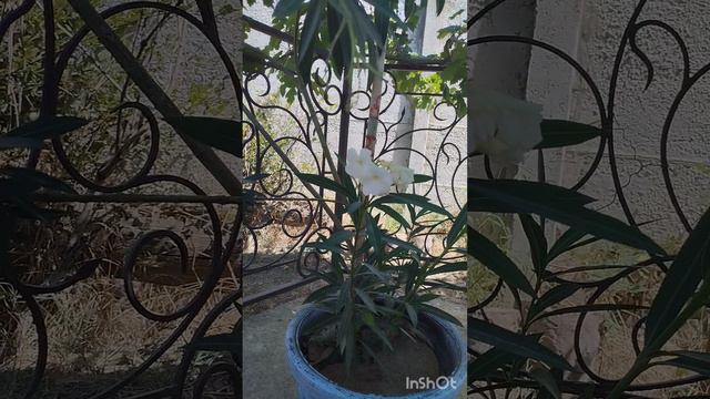 Август, наслаждаемся теплом