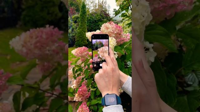 Как улучшить твои фото? смотреть онлайн