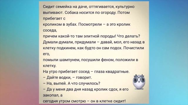 Есть такая ТРАДИЦИЯ - ГУБКОЙ ДЛЯ ПОСУДЫ ВТИХАРЯ ПОЛ ПРОТИРАТЬ. Юмор на каждый день. смотреть онлайн