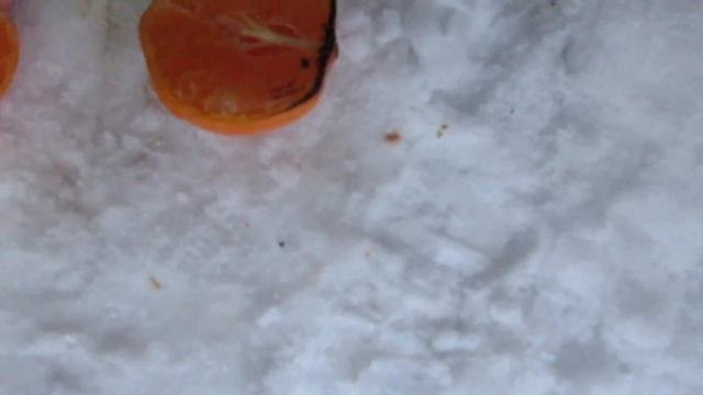 1000 DEGREE KNIFE CHALLENGE VS. FRUIT смотреть онлайн