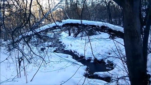 Сибирские Леса, Поиски Заброшенной Штольни, Таежный быт, Одиночный поход. смотреть онлайн