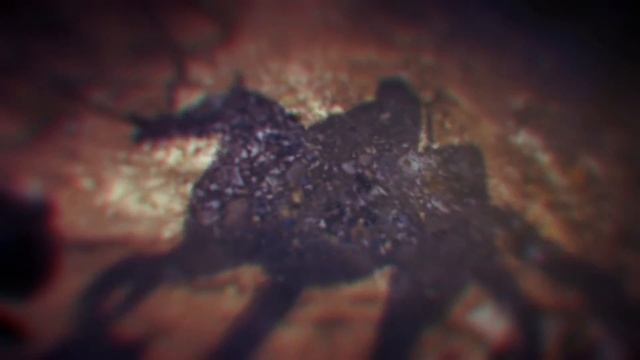 Блаженны миротворцы - Спасение Артура на золото смотреть онлайн