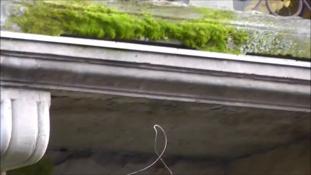 Karlsruhe Grünes Haus In Der Yorkstraße 39 Am 14.10.2013