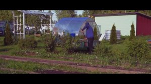 Как мульчировать кустарники смородины свежей, скошенной травой?