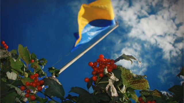 Ой, у лузі червона калина смотреть онлайн