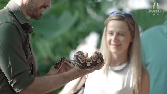 Green Planet Dubai - крытый комплекс живой природы | Билеты со скидкой на сайте Туристино Дубай смотреть онлайн