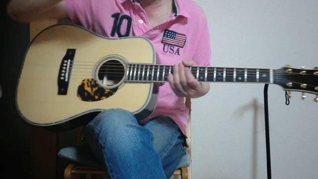 Aria Dreadnought  AD 915MINI