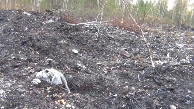 Находки на старой свалке смотреть онлайн