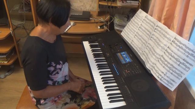 Secret Garden. Elan. Методический комментарий к аранжировке.