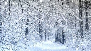 Футаж. Зимний пейзаж 60