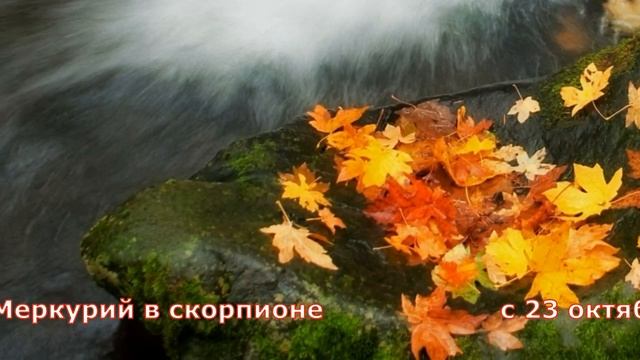 Рыбы гороскоп на Октябрь 2023, как повлияют солнечное и лунное затмения смотреть онлайн