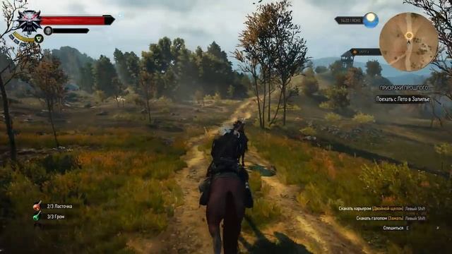 The Witcher 3 Встреча с Лето из Гулеты смотреть онлайн