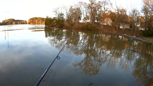 Minnow vs Maggot - GULP BATTLE! Which one is better for fishing? смотреть онлайн