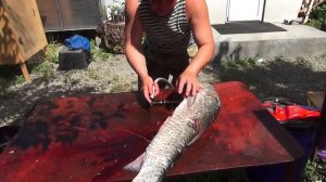 ШХ15. Нож Клык.  Кузница Медведь. Разделка крупной рыбы