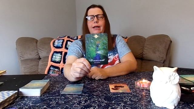 GEMINI, Animal Oracle Spring Energy Reading. Week of March 21st. смотреть онлайн