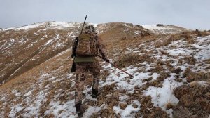 Трофейная горная охота на Гималайского Улара, Алматинская область 2022. Himalayan snowcock hunting.