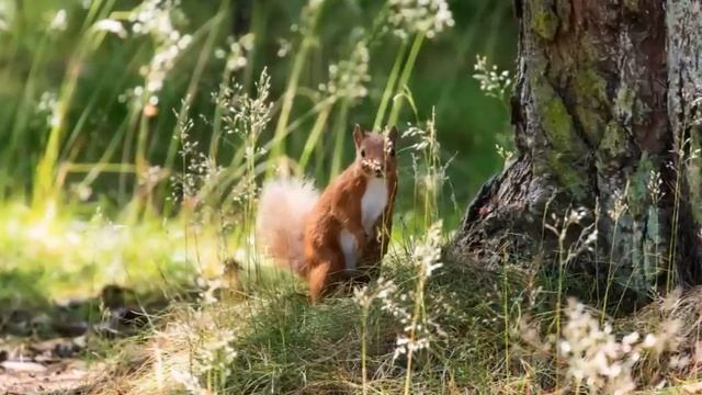 Если мама звонит и справляется, как у меня дела, значит, ей что-то нужно. Реальная история из жизни смотреть онлайн