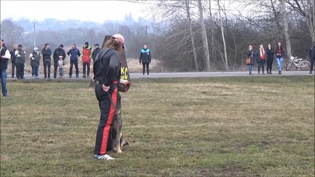 Bonitácia Lučenec 2018 смотреть онлайн