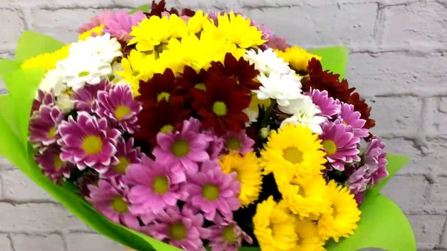 Мир цветов во Льгове. Цветы Льгов. Доставка цветов во Льгове. MIRCVETOV46.COM 8-920-720-8899 Льгов смотреть онлайн