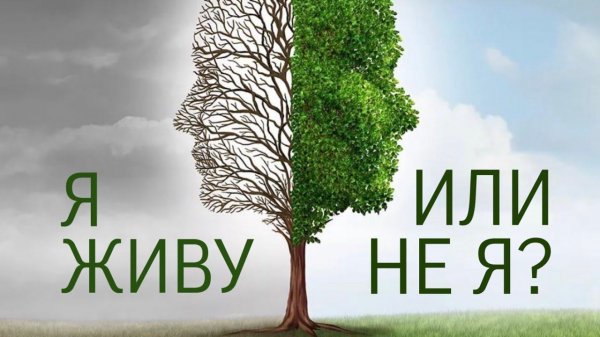 #5 Я живу... или не я?
