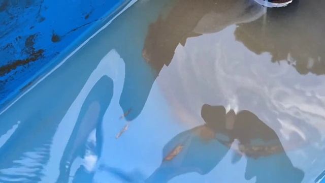 Скважина на грани фола! Бурение в Новой Купавне! смотреть онлайн