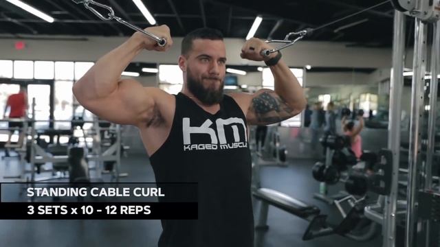 Biceps Peak Workout | Jake Dalton, 2x Olympic Gymnast