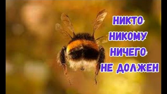 Никто никому ничего не должен смотреть онлайн