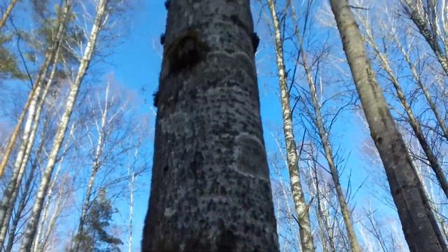 КамаVsАист по шоссе. Кто круче? Насколько актуальны советские велосипеды в нашей реальности Ч.4 смотреть онлайн