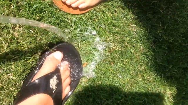 The pug madness смотреть онлайн