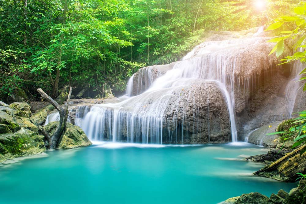 Расслабляющие Звуки Природы. Звуки Водопада ✦ Звуки Леса ✦ Sounds Of The Forest смотреть онлайн