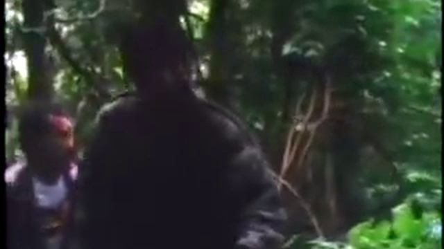ทะลุฟ้ามาเกิด-สามารถ พยัคฆ์อรุณ , พันนา ฤทธิไกร(Panna Rittikrai) смотреть онлайн