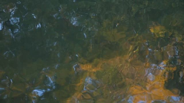 Relax music/Релакс музыка для расслабления и отдыха! смотреть онлайн