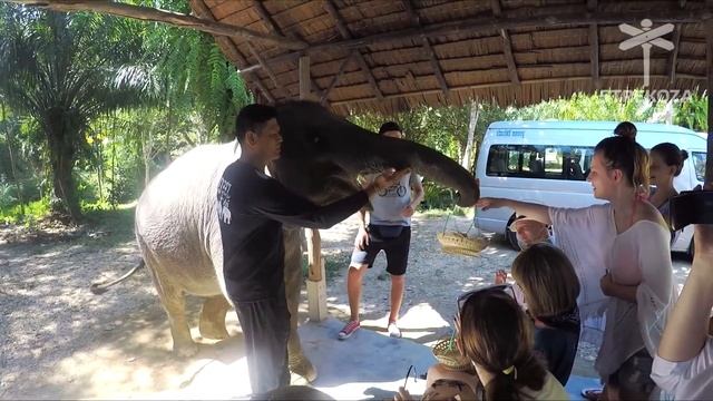 Пхукет! ТРИП ПО АЗИИ || Храм с дикими обезьянами|| STREKOZA Travel смотреть онлайн