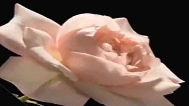 Вальс "Цвет ночи" смотреть онлайн