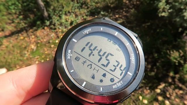 Совсем спятил! Топчет часы! смотреть онлайн