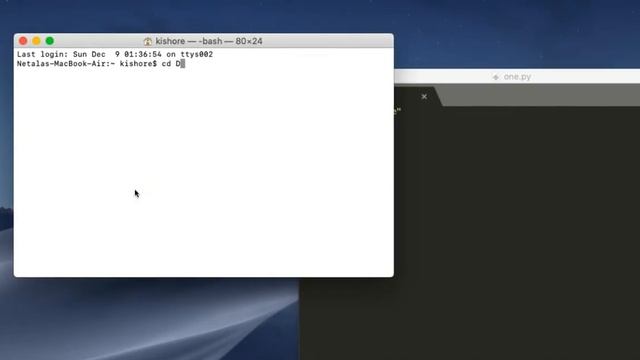 Python Basics Tutorials in Telugu for Beginners | First Programs in Python смотреть онлайн