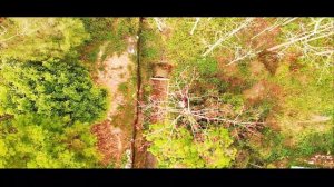 CHINA SHENZHEN-Wutong Mountain National Park - Shenzhen Aerial View