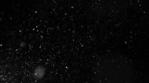 Футаж для монтажа - Падающий снег ночью - Видео без авторских прав