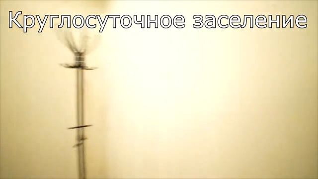 Саратов, улица Мичурина, 18/68. Где снять квартиру в центре недорого. посуточно квартира смотреть онлайн